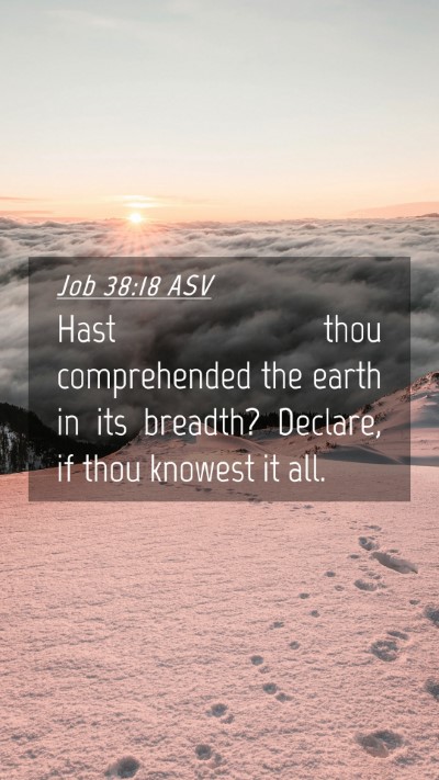 Picture 04 - Job 38:18 ASV Mobile Phone Wallpaper - Hast thou comprehended the earth in its breadth? - Mobile Bible Verse Wallpaper