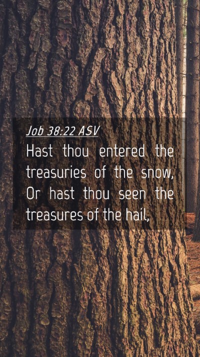 Picture 04 - Job 38:22 ASV Mobile Phone Wallpaper - Hast thou entered the treasuries of the snow, Or - Mobile Bible Verse Wallpaper