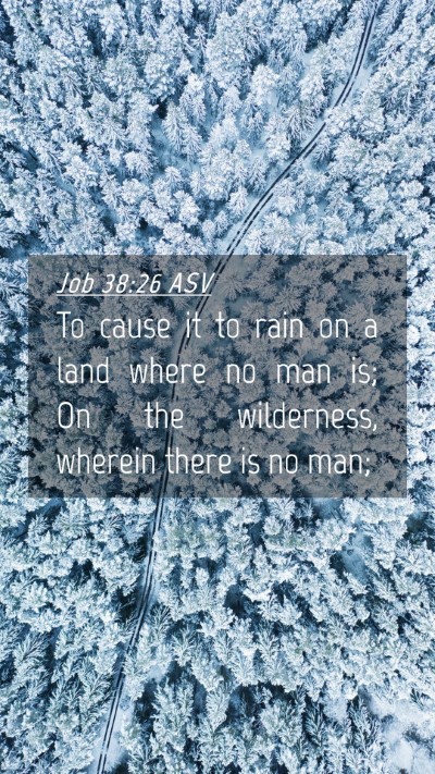Picture 04 - Job 38:26 ASV Mobile Phone Wallpaper - To cause it to rain on a land where no man is; On - Mobile Bible Verse Wallpaper