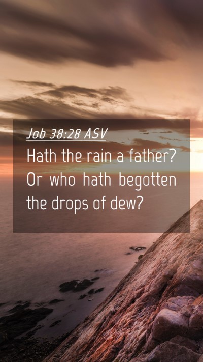 Picture 04 - Job 38:28 ASV Mobile Phone Wallpaper - Hath the rain a father? Or who hath begotten the - Mobile Bible Verse Wallpaper