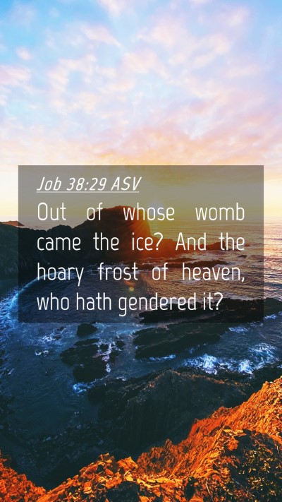 Picture 04 - Job 38:29 ASV Mobile Phone Wallpaper - Out of whose womb came the ice? And the hoary - Mobile Bible Verse Wallpaper
