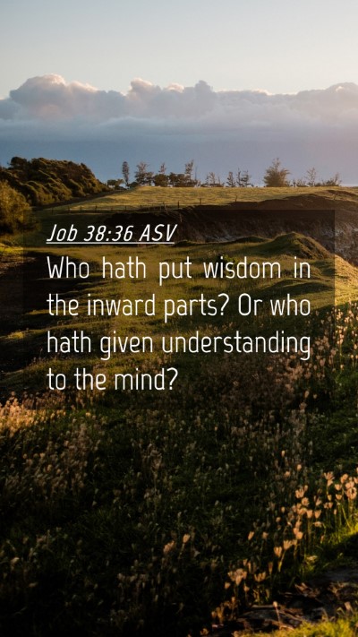 Picture 04 - Job 38:36 ASV Mobile Phone Wallpaper - Who hath put wisdom in the inward parts? Or who - Mobile Bible Verse Wallpaper