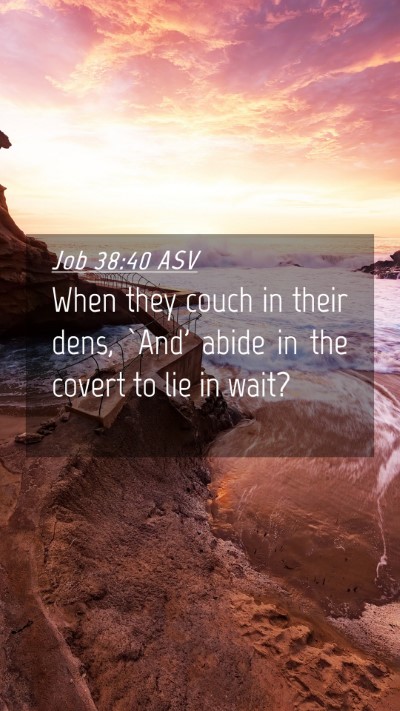 Picture 04 - Job 38:40 ASV Mobile Phone Wallpaper - When they couch in their dens, `And' abide in the - Mobile Bible Verse Wallpaper
