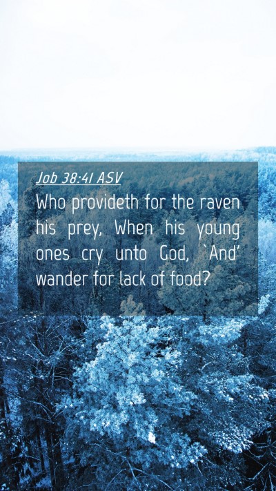 Picture 04 - Job 38:41 ASV Mobile Phone Wallpaper - Who provideth for the raven his prey, When his - Mobile Bible Verse Wallpaper