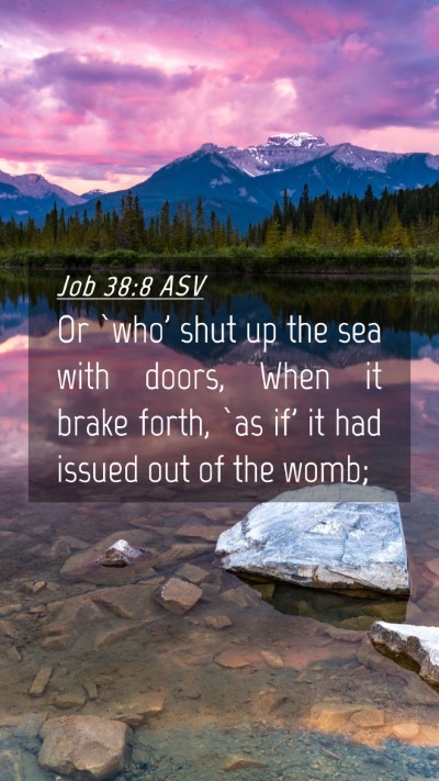 Picture 04 - Job 38:8 ASV Mobile Phone Wallpaper - Or `who' shut up the sea with doors, When it - Mobile Bible Verse Wallpaper