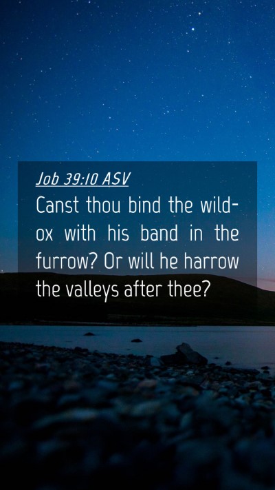 Picture 04 - Job 39:10 ASV Mobile Phone Wallpaper - Canst thou bind the wild-ox with his band in the - Mobile Bible Verse Wallpaper