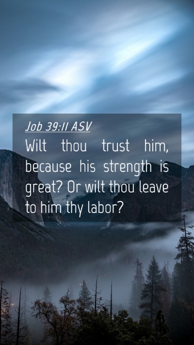 Picture 04 - Job 39:11 ASV Mobile Phone Wallpaper - Wilt thou trust him, because his strength is - Mobile Bible Verse Wallpaper