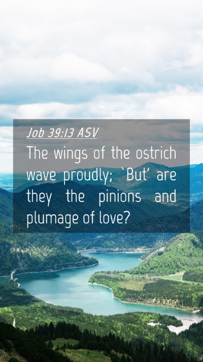 Picture 04 - Job 39:13 ASV Mobile Phone Wallpaper - The wings of the ostrich wave proudly; `But' are - Mobile Bible Verse Wallpaper