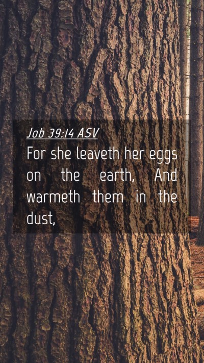 Picture 04 - Job 39:14 ASV Mobile Phone Wallpaper - For she leaveth her eggs on the earth, And - Mobile Bible Verse Wallpaper