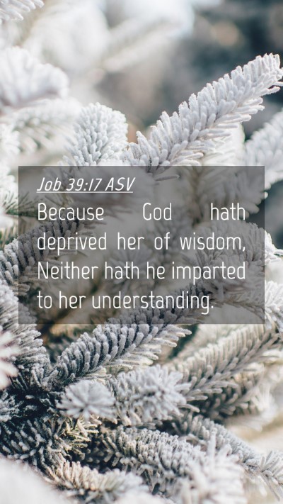 Picture 04 - Job 39:17 ASV Mobile Phone Wallpaper - Because God hath deprived her of wisdom, Neither - Mobile Bible Verse Wallpaper