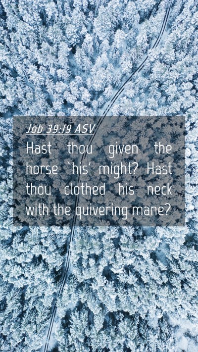 Picture 04 - Job 39:19 ASV Mobile Phone Wallpaper - Hast thou given the horse `his' might? Hast thou - Mobile Bible Verse Wallpaper