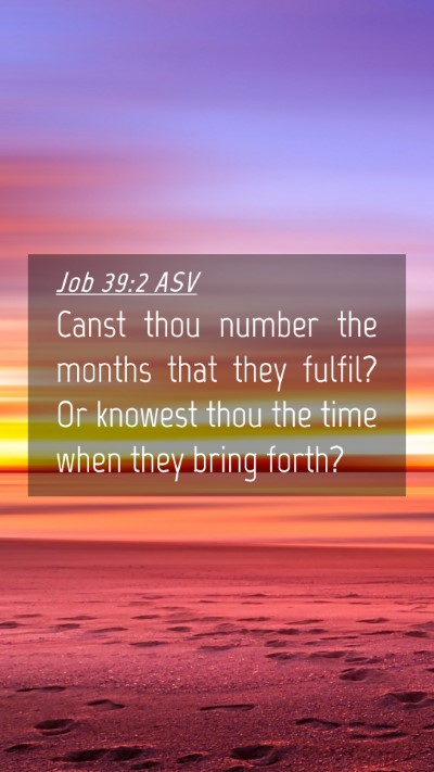 Picture 04 - Job 39:2 ASV Mobile Phone Wallpaper - Canst thou number the months that they fulfil? Or - Mobile Bible Verse Wallpaper