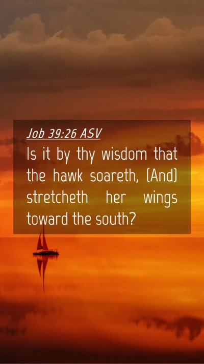 Picture 04 - Job 39:26 ASV Mobile Phone Wallpaper - Is it by thy wisdom that the hawk soareth, (And) - Mobile Bible Verse Wallpaper