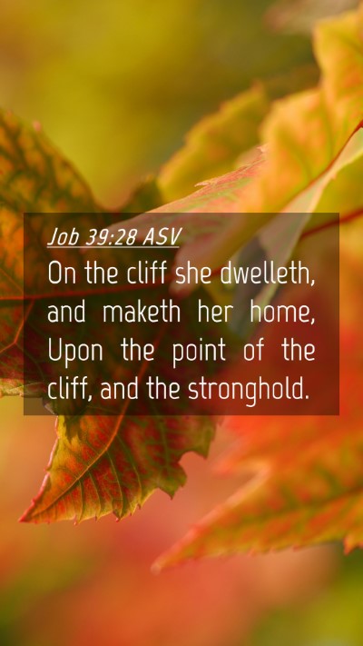 Picture 04 - Job 39:28 ASV Mobile Phone Wallpaper - On the cliff she dwelleth, and maketh her home, - Mobile Bible Verse Wallpaper