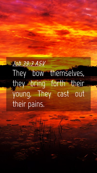 Picture 04 - Job 39:3 ASV Mobile Phone Wallpaper - They bow themselves, they bring forth their - Mobile Bible Verse Wallpaper