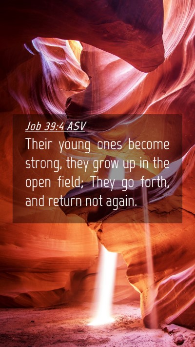 Picture 04 - Job 39:4 ASV Mobile Phone Wallpaper - Their young ones become strong, they grow up in - Mobile Bible Verse Wallpaper