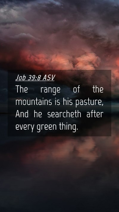 Picture 04 - Job 39:8 ASV Mobile Phone Wallpaper - The range of the mountains is his pasture, And he - Mobile Bible Verse Wallpaper