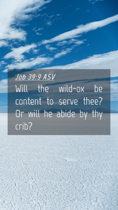 Picture 04 - Job 39:9 ASV Mobile Phone Wallpaper - Will the wild-ox be content to serve thee? Or - Mobile Bible Verse Wallpaper