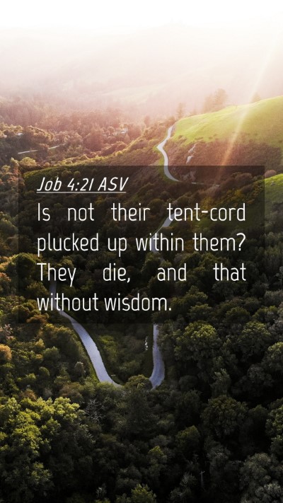 Picture 04 - Job 4:21 ASV Mobile Phone Wallpaper - Is not their tent-cord plucked up within them? - Mobile Bible Verse Wallpaper