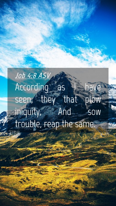 Picture 04 - Job 4:8 ASV Mobile Phone Wallpaper - According as I have seen, they that plow - Mobile Bible Verse Wallpaper