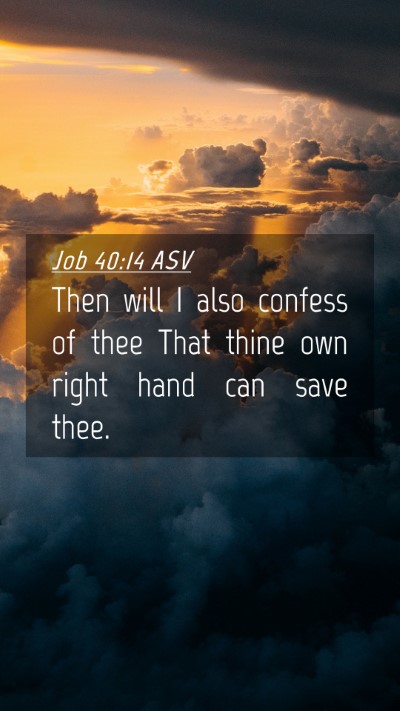 Picture 04 - Job 40:14 ASV Mobile Phone Wallpaper - Then will I also confess of thee That thine own - Mobile Bible Verse Wallpaper