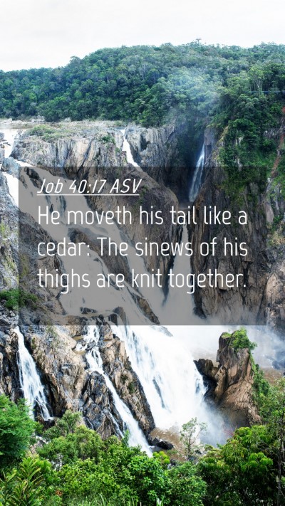 Picture 04 - Job 40:17 ASV Mobile Phone Wallpaper - He moveth his tail like a cedar: The sinews of - Mobile Bible Verse Wallpaper