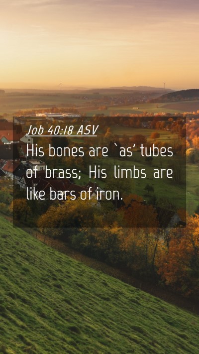Picture 04 - Job 40:18 ASV Mobile Phone Wallpaper - His bones are `as' tubes of brass; His limbs are - Mobile Bible Verse Wallpaper