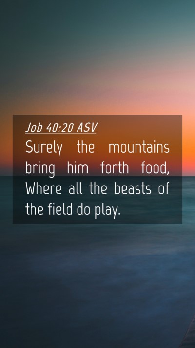 Picture 04 - Job 40:20 ASV Mobile Phone Wallpaper - Surely the mountains bring him forth food, Where - Mobile Bible Verse Wallpaper