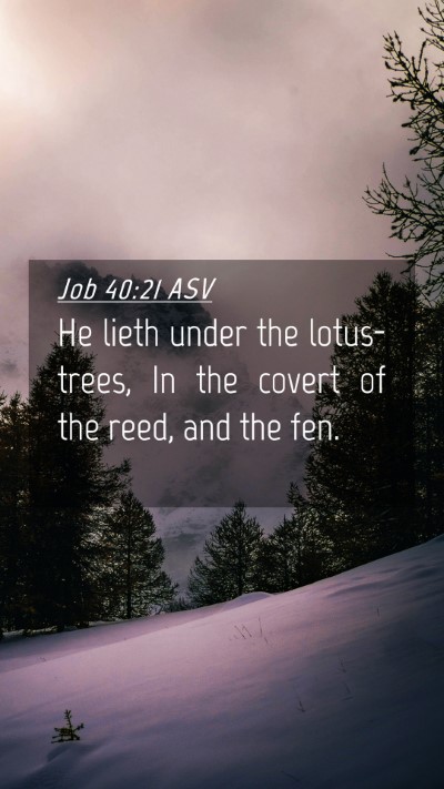 Picture 04 - Job 40:21 ASV Mobile Phone Wallpaper - He lieth under the lotus-trees, In the covert of - Mobile Bible Verse Wallpaper
