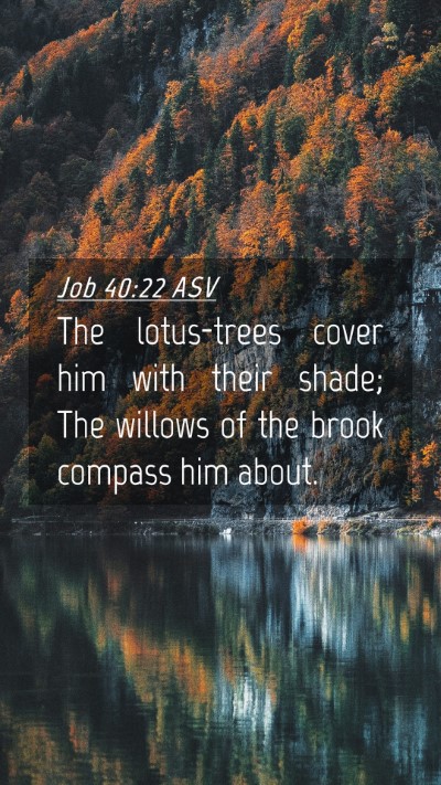 Picture 04 - Job 40:22 ASV Mobile Phone Wallpaper - The lotus-trees cover him with their shade; The - Mobile Bible Verse Wallpaper