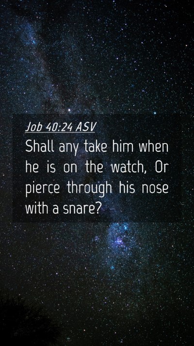Picture 04 - Job 40:24 ASV Mobile Phone Wallpaper - Shall any take him when he is on the watch, Or - Mobile Bible Verse Wallpaper