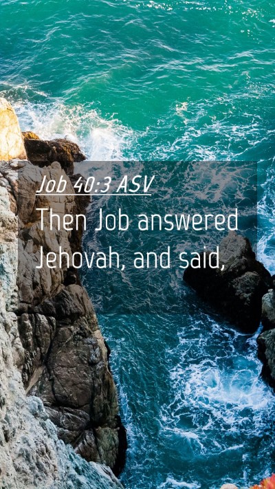 Picture 04 - Job 40:3 ASV Mobile Phone Wallpaper - Then Job answered Jehovah, and - Mobile Bible Verse Wallpaper