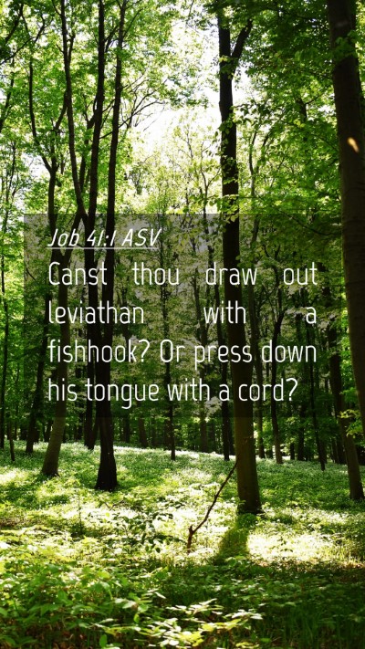 Picture 04 - Job 41:1 ASV Mobile Phone Wallpaper - Canst thou draw out leviathan with a fishhook? Or - Mobile Bible Verse Wallpaper