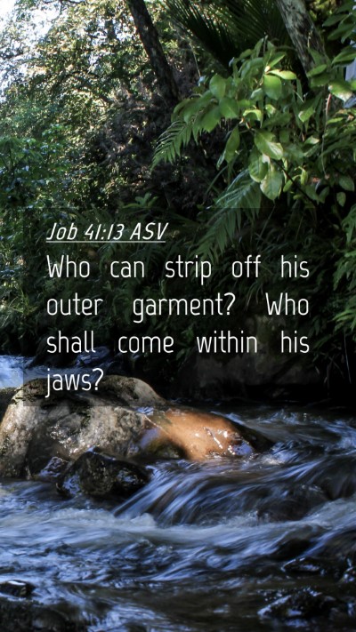 Picture 04 - Job 41:13 ASV Mobile Phone Wallpaper - Who can strip off his outer garment? Who shall - Mobile Bible Verse Wallpaper