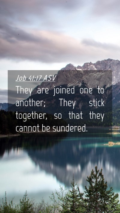 Picture 04 - Job 41:17 ASV Mobile Phone Wallpaper - They are joined one to another; They stick - Mobile Bible Verse Wallpaper