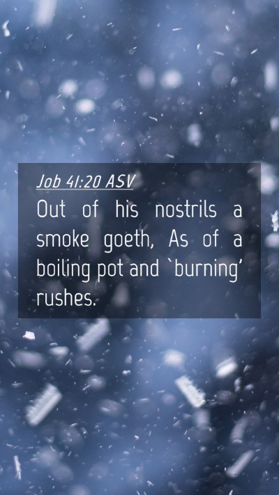 Picture 04 - Job 41:20 ASV Mobile Phone Wallpaper - Out of his nostrils a smoke goeth, As of a - Mobile Bible Verse Wallpaper