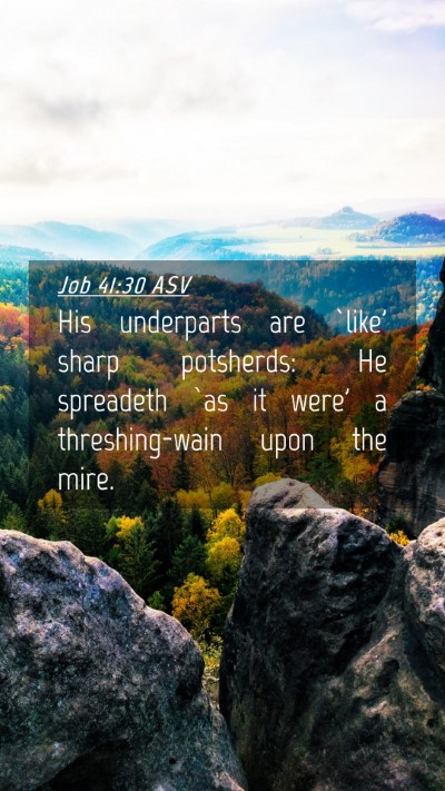 Picture 04 - Job 41:30 ASV Mobile Phone Wallpaper - His underparts are `like' sharp potsherds: He - Mobile Bible Verse Wallpaper