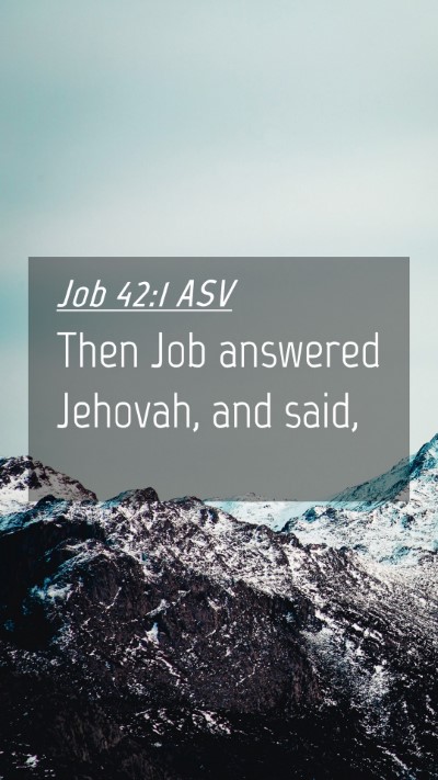 Picture 04 - Job 42:1 ASV Mobile Phone Wallpaper - Then Job answered Jehovah, and - Mobile Bible Verse Wallpaper