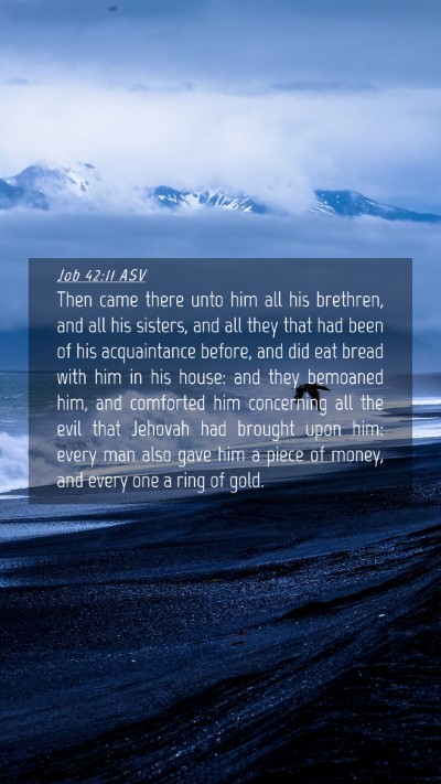 Picture 04 - Job 42:11 ASV Mobile Phone Wallpaper - Then came there unto him all his brethren, and - Mobile Bible Verse Wallpaper