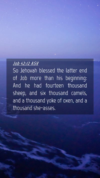 Picture 04 - Job 42:12 ASV Mobile Phone Wallpaper - So Jehovah blessed the latter end of Job more - Mobile Bible Verse Wallpaper