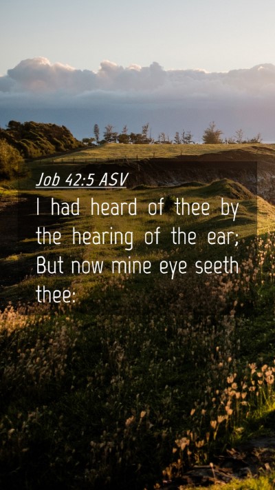 Picture 04 - Job 42:5 ASV Mobile Phone Wallpaper - I had heard of thee by the hearing of the ear; - Mobile Bible Verse Wallpaper