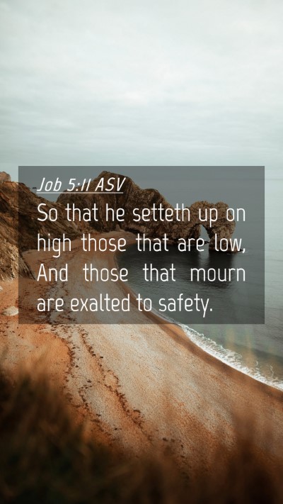 Picture 04 - Job 5:11 ASV Mobile Phone Wallpaper - So that he setteth up on high those that are low, - Mobile Bible Verse Wallpaper
