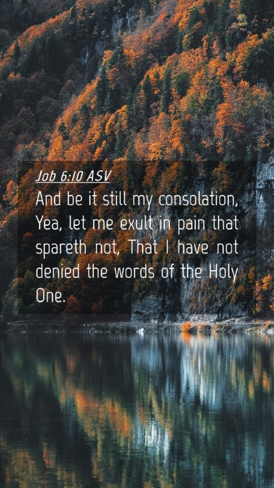 Picture 04 - Job 6:10 ASV Mobile Phone Wallpaper - And be it still my consolation, Yea, let me exult - Mobile Bible Verse Wallpaper