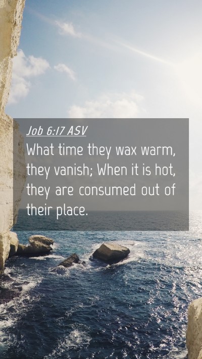 Picture 04 - Job 6:17 ASV Mobile Phone Wallpaper - What time they wax warm, they vanish; When it is - Mobile Bible Verse Wallpaper