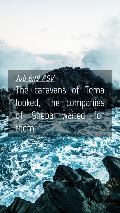 Picture 04 - Job 6:19 ASV Mobile Phone Wallpaper - The caravans of Tema looked, The companies of - Mobile Bible Verse Wallpaper