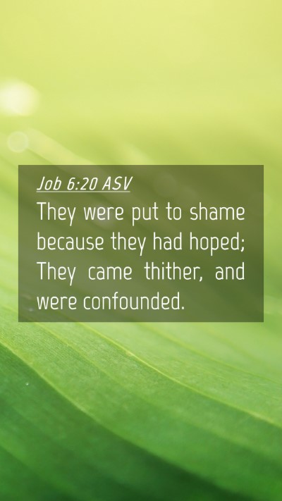 Picture 04 - Job 6:20 ASV Mobile Phone Wallpaper - They were put to shame because they had hoped; - Mobile Bible Verse Wallpaper