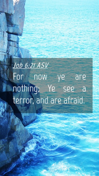 Picture 04 - Job 6:21 ASV Mobile Phone Wallpaper - For now ye are nothing; Ye see a terror, and are - Mobile Bible Verse Wallpaper