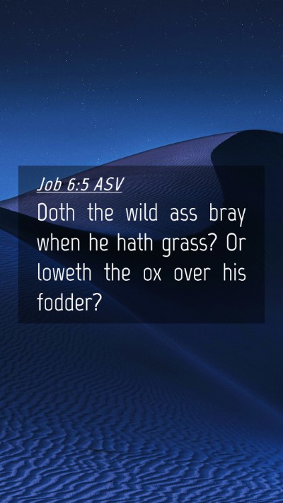 Picture 04 - Job 6:5 ASV Mobile Phone Wallpaper - Doth the wild ass bray when he hath grass? Or - Mobile Bible Verse Wallpaper