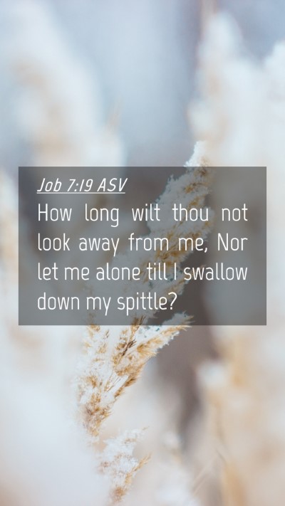 Picture 04 - Job 7:19 ASV Mobile Phone Wallpaper - How long wilt thou not look away from me, Nor let - Mobile Bible Verse Wallpaper