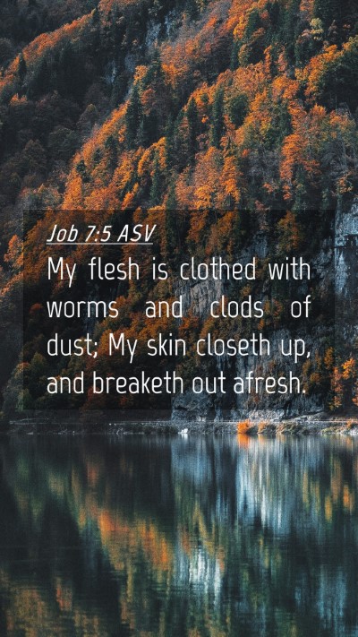 Picture 04 - Job 7:5 ASV Mobile Phone Wallpaper - My flesh is clothed with worms and clods of dust; - Mobile Bible Verse Wallpaper
